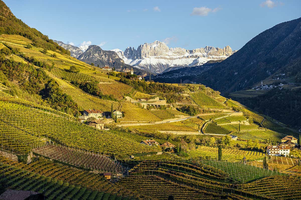 Dagli 800 metri al bicchiere: i vini d’alta quota dell’Alto Adige raccontati a Napoli Dagli 800 metri al bicchiere: i vini d’alta quota dell’Alto Adige raccontati a Napoli
