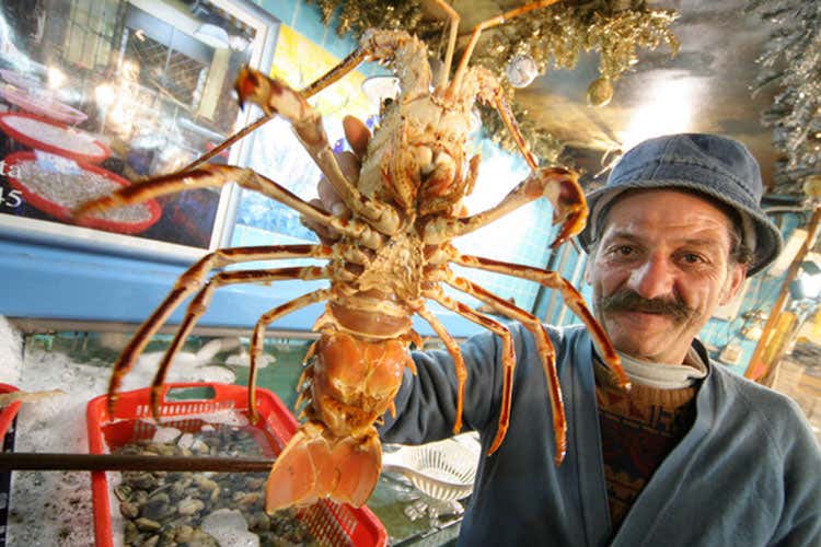 (Svizzera, vietato bollire vive le aragoste)