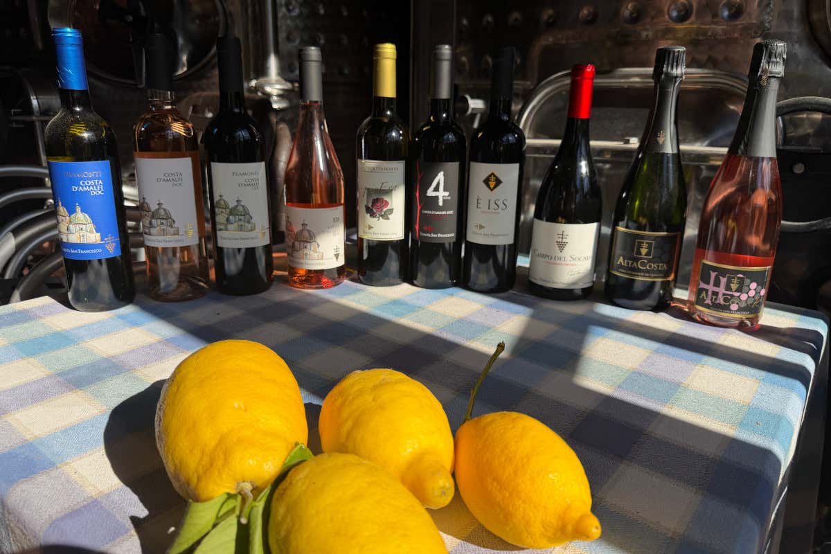 I vini della Tenuta San Francesco
