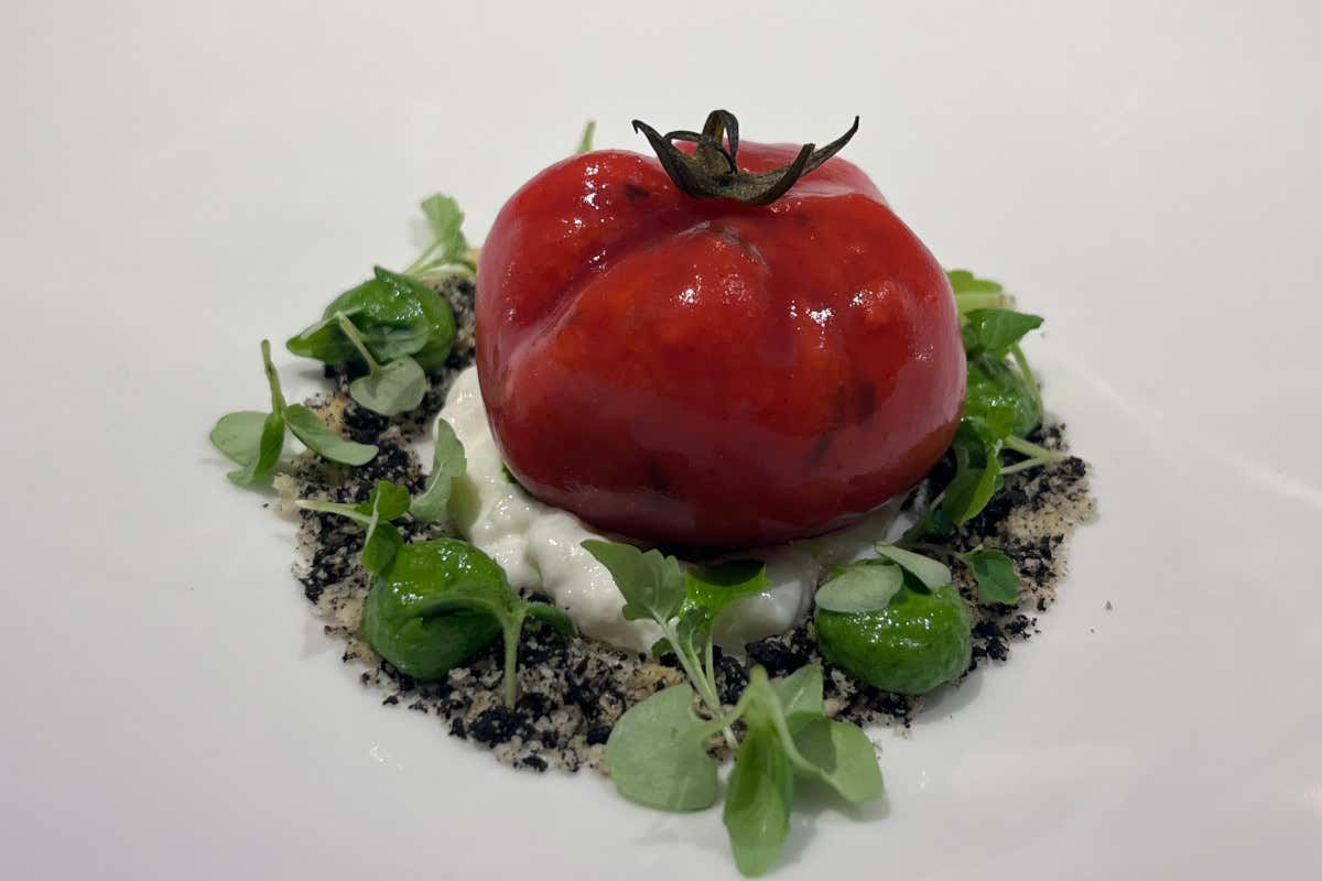 Finto pomodoro di pappa al pomodoro arrosto, terra di olive, burrata e pesto di erbe mediterranee