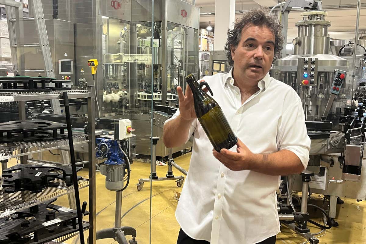 Meno olive, più qualità: come le stagioni complicate esaltano l’olio evo Meno olive, più qualità: come le stagioni complicate esaltano l’olio evo