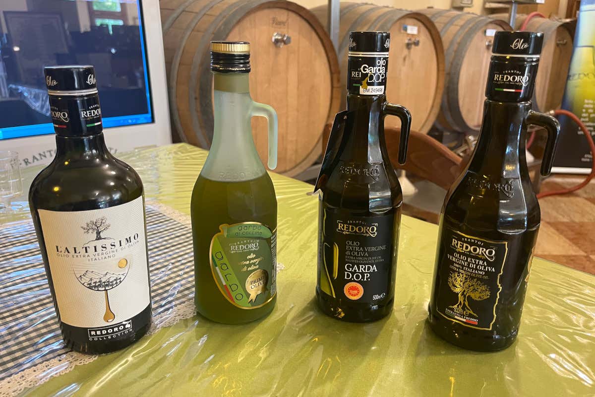 Meno olive, più qualità: come le stagioni complicate esaltano l’olio evo Meno olive, più qualità: come le stagioni complicate esaltano l’olio evo