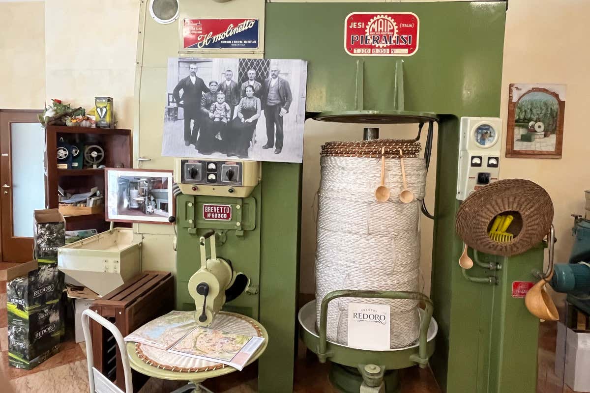 Meno olive, più qualità: come le stagioni complicate esaltano l’olio evo Meno olive, più qualità: come le stagioni complicate esaltano l’olio evo