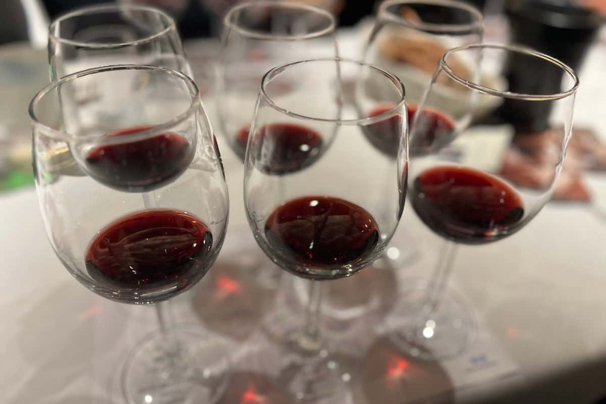 Talosa, ecco come cambia il Vino Nobile di Montepulciano tra sabbia e argilla Talosa, ecco come cambia il Vino Nobile di Montepulciano tra sabbia e argilla