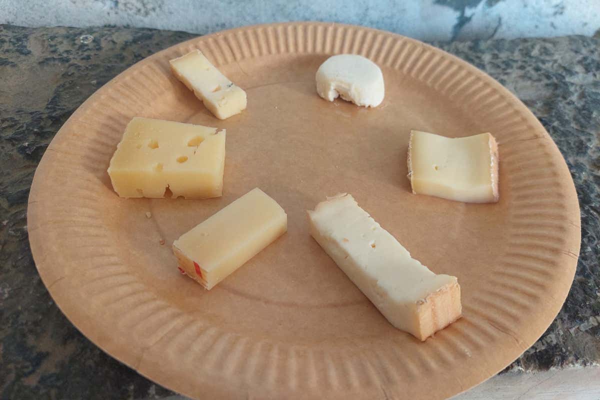 Dalle parentesi alle esperienze: con Treccani la cultura si tocca con mano Dalle parentesi alle esperienze: con Treccani la cultura si tocca con mano