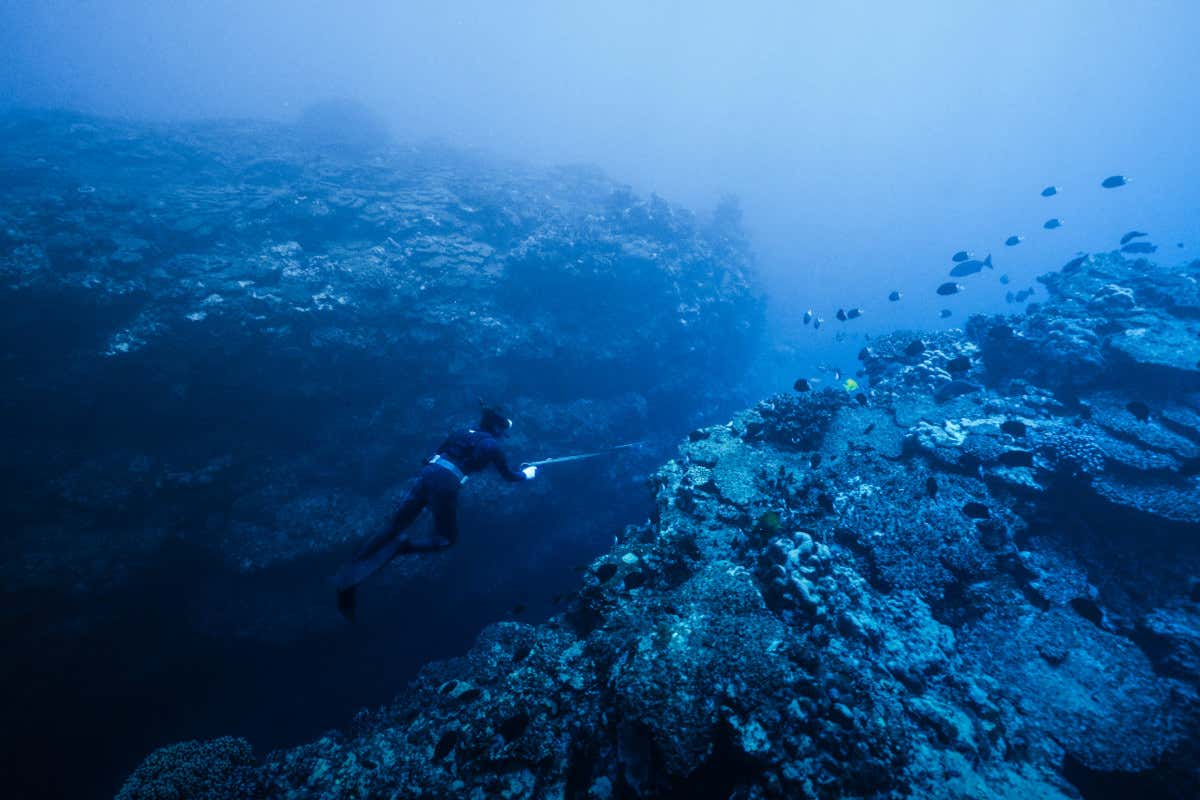 Relais & Châteaux e Unesco: la cucina che protegge biodiversità e cultura
