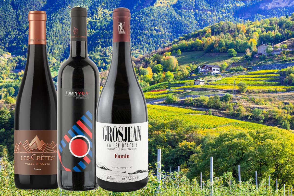 £$L'Italia del vino$£: tre Fumin per un assaggio di Val d'Aosta