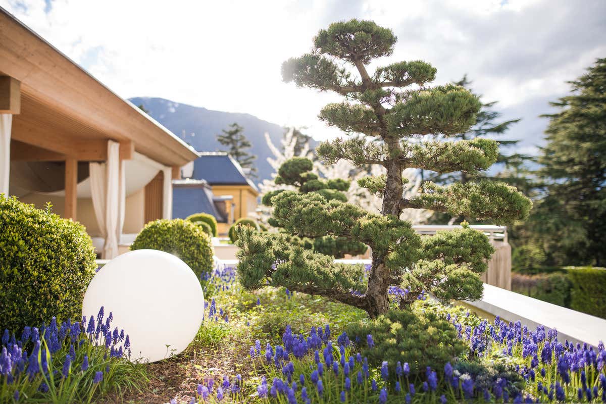 Merano: città di natura, arte e ospitalità generazionale