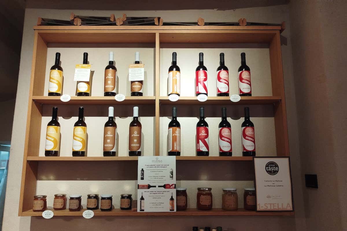 Nella Maremma grossettana il vino nasce in un ecosistema di filari, boschi e oliveti Nella Maremma grossettana il vino nasce in un ecosistema di filari, boschi e oliveti
