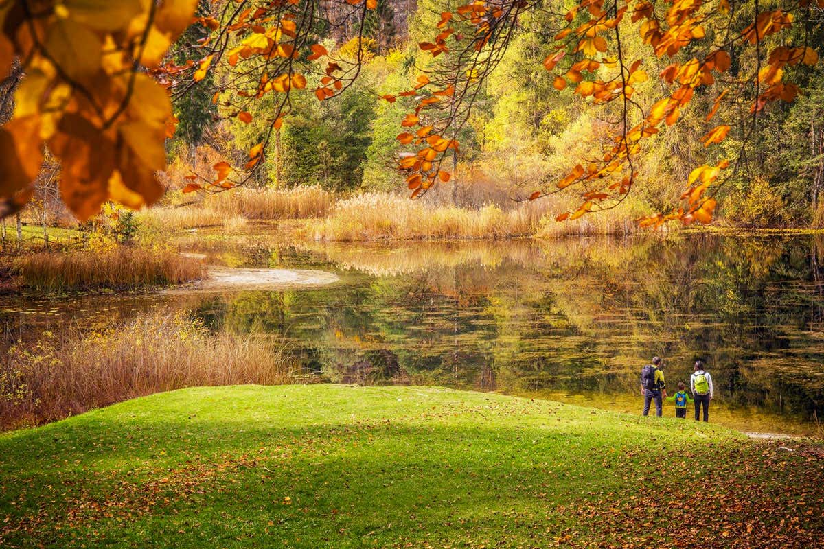 DiVin ottobre, in Trentino l'autunno si tinge di gusto
