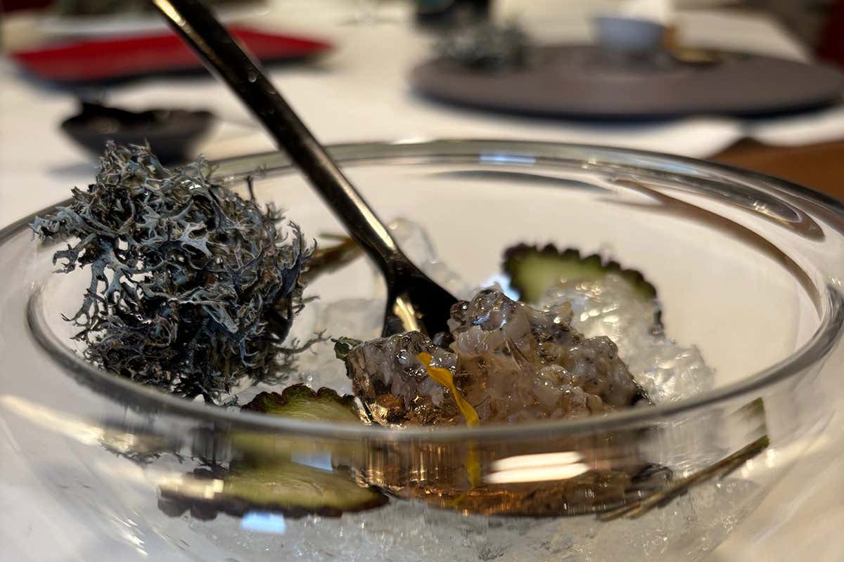 TRENTODOstriCa - Trentodoc in gelatina alle erbe di montagna, marmo ghiacciato di ostrica 