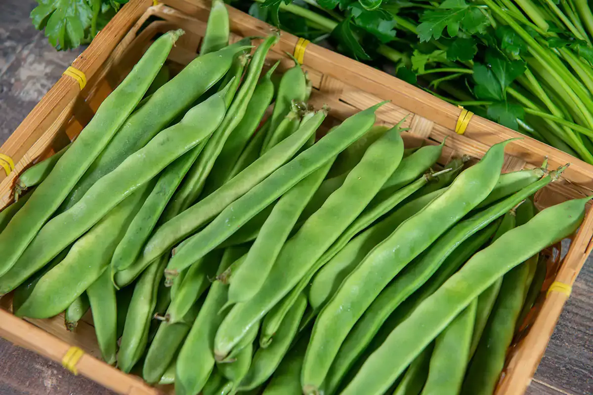 Taccole, ricche di fibre e vitamina C Perfette per le insalate estive