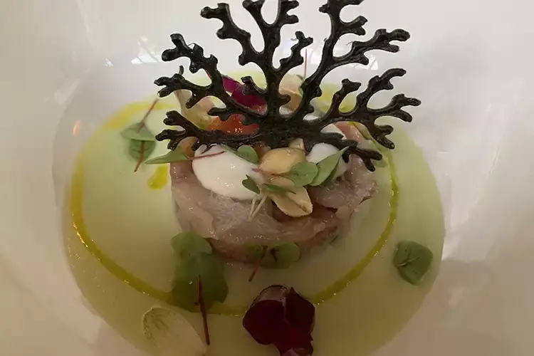 La Tartare di ricciole di Tommaso Arrigoni con olio evo Rasara Lodo Guide 2022: al monocultivar Rasara il Premio della Stampa