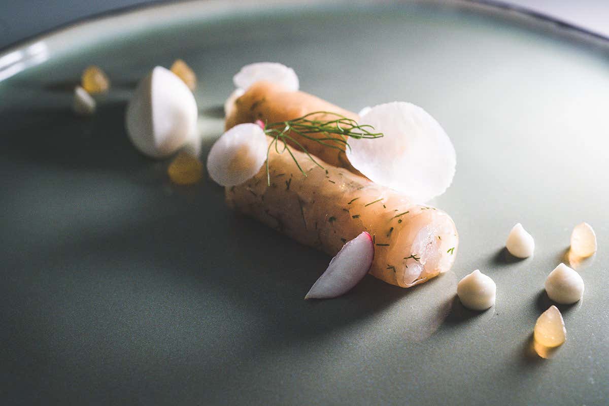 Gelatina, l’asso nella manica di ogni Chef Gelatina, l’asso nella manica di ogni Chef