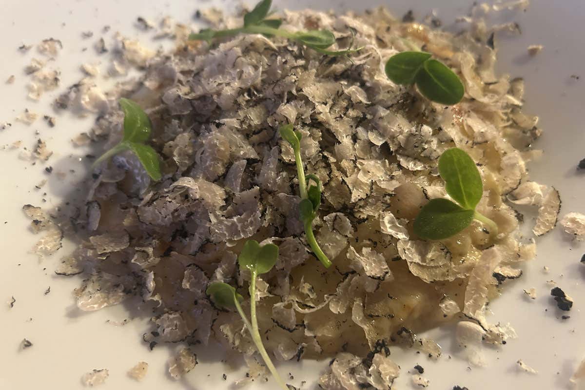 Hotel Milano, non solo ospitalità: cucina gourmet e carta dei vini lunga un metro