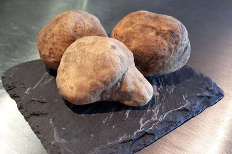 (Tartufi Biagetti e vini Antinori Serata d'eccellenze al The View Lugano)