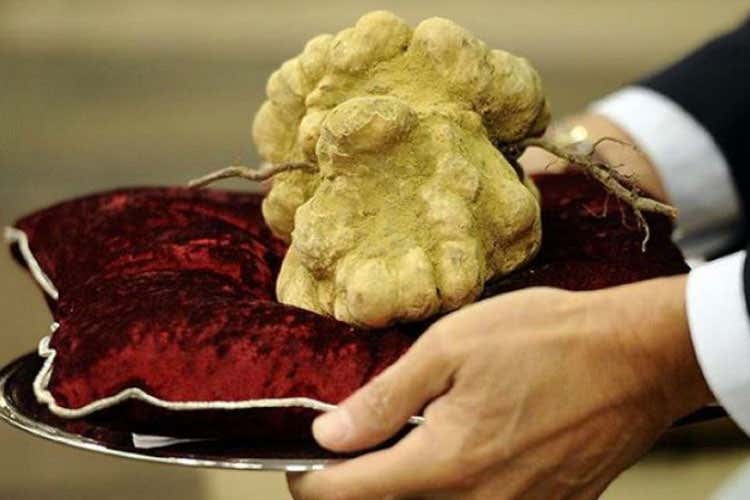 L&rsquo;Asta 2020 ha regalato una sfida serrata e vibranti emozioni - Tartufo bianco d&rsquo;Alba, asta record: 482mila euro in solidariet&agrave;