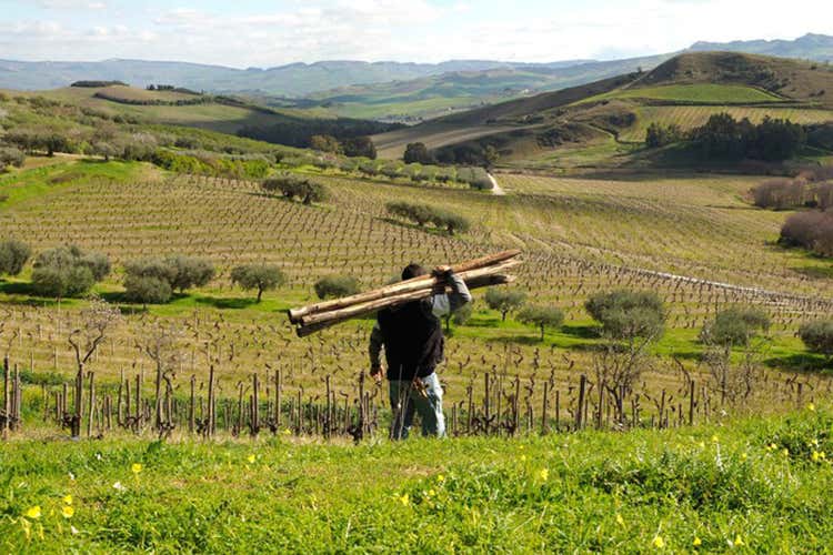 All'azienda siciliana il prestigioso riconoscimento green americano All'azienda siciliana il prestigioso riconoscimento green americano