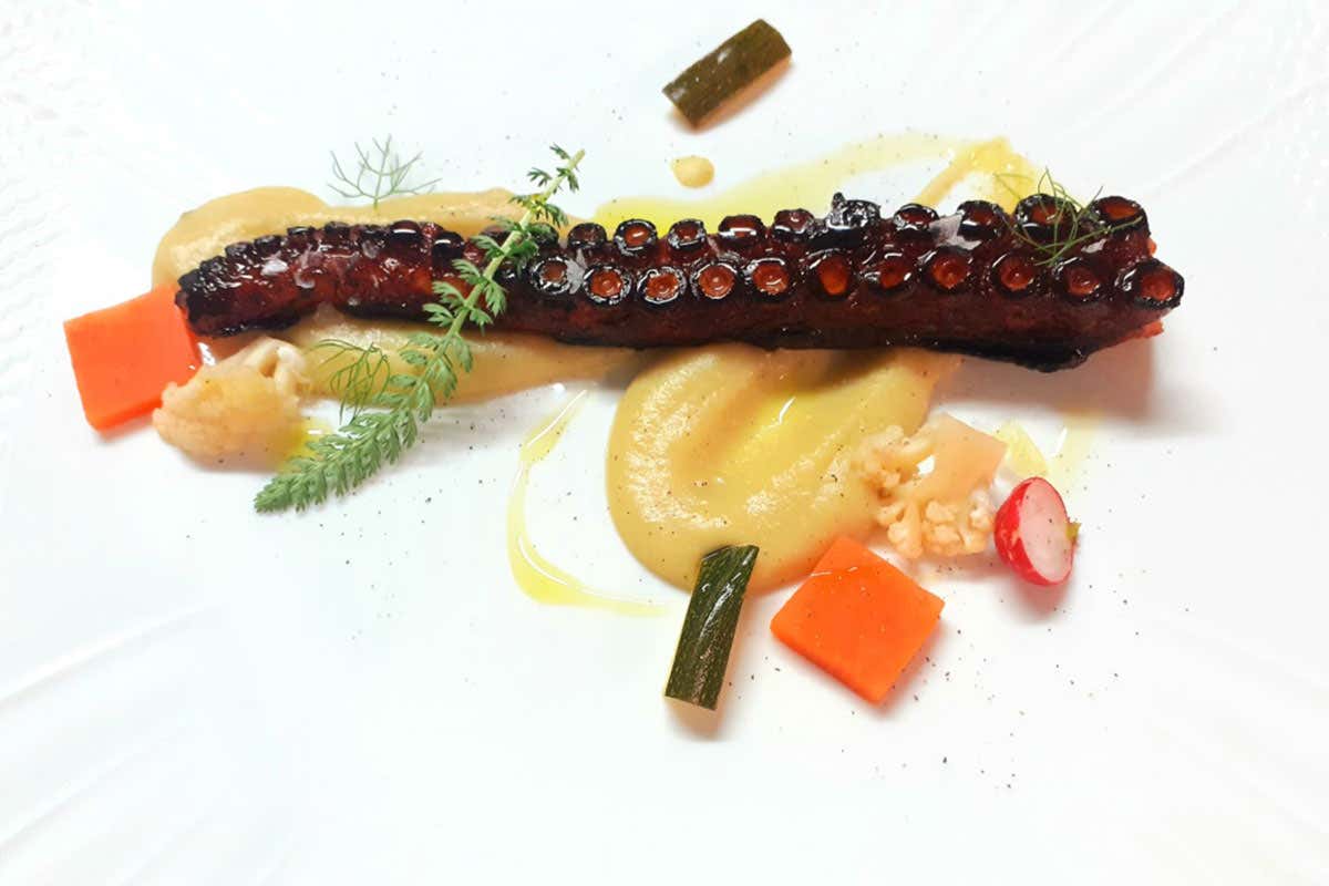 Tentacolo di polpo barese, laccatura al cedro, crema di fave e ortaggi Il Petrosino: sapori di Puglia in chiave contemporanea