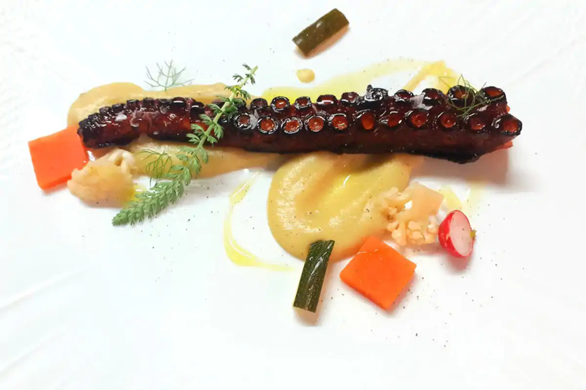 Tentacolo di polpo barese, laccatura al cedro, crema di fave e ortaggi Il Petrosino: sapori di Puglia in chiave contemporanea