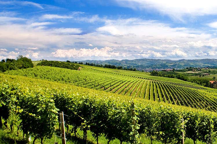 Tenuta Carretta compie 550 anni Si festeggiano storia e alta qualità Tenuta Carretta compie 550 anni Si festeggiano storia e alta qualità