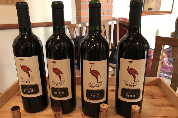(Tenuta Cicogna, i rossi di Cavazza nascono su un terreno che sa di mare) (Tenuta Cicogna, i rossi di Cavazza nascono su un terreno che sa di mare)