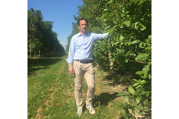 Alessandro Gaggia - Tenuta La Spiga, una realtà poliedrica Accanto al Prosecco, anche noci e pere Alessandro Gaggia - Tenuta La Spiga, una realtà poliedrica Accanto al Prosecco, anche noci e pere