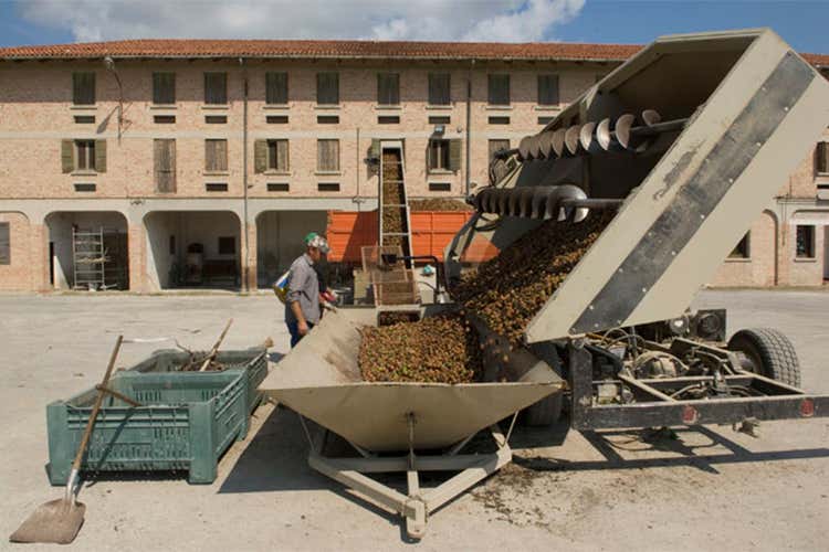 Tenuta La Spiga, una realtà poliedrica Accanto al Prosecco, anche noci e pere Tenuta La Spiga, una realtà poliedrica Accanto al Prosecco, anche noci e pere