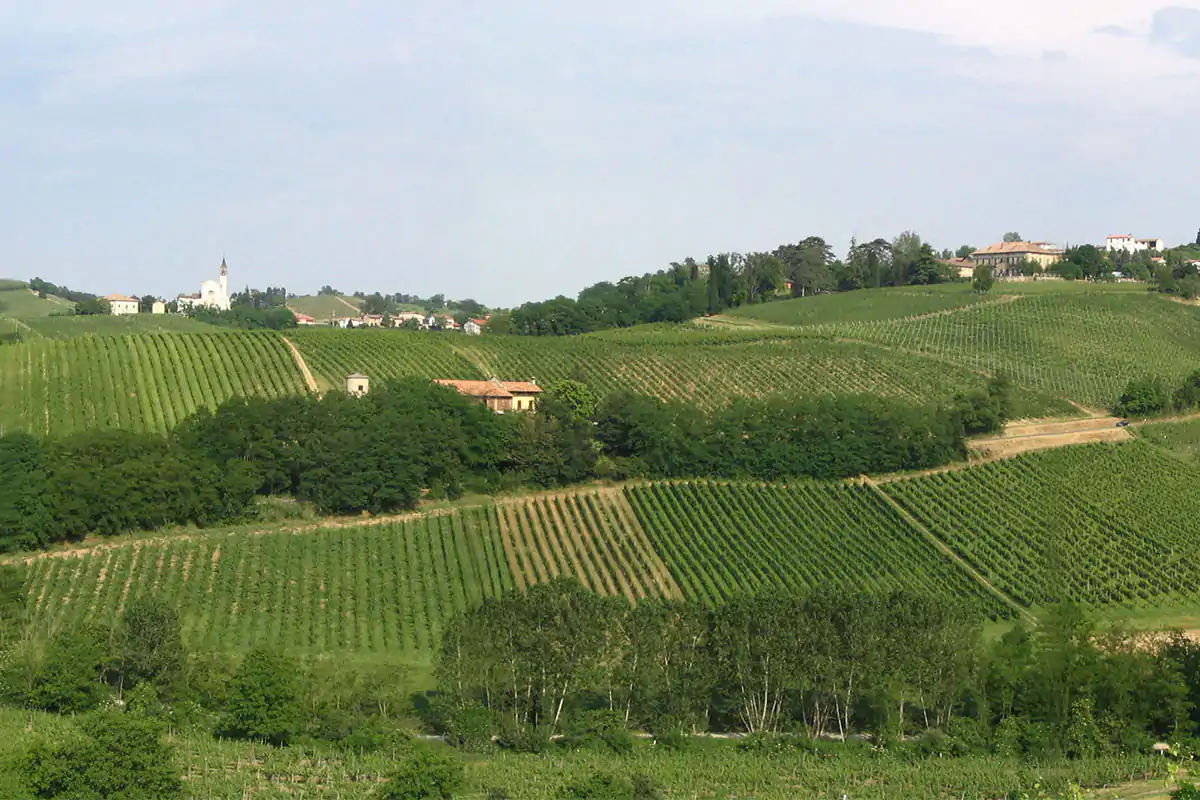 Tenuta Mazzolino, nel cuore dell'Otrep&ograve; Pavese Alla scoperta di una cantina gioiello Tenuta Mazzolino, nell&rsquo;Oltrep&ograve;