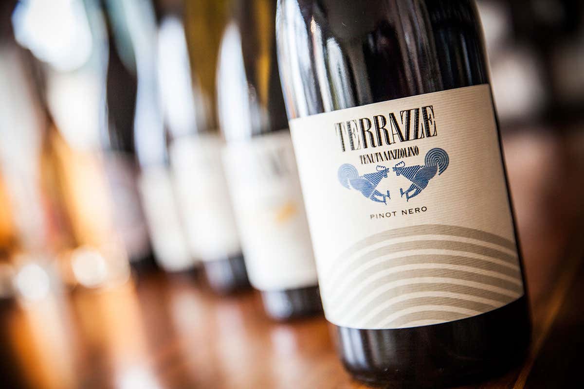 Il Pinot Nero Terrazze Alla scoperta di una cantina gioiello Tenuta Mazzolino, nell&rsquo;Oltrep&ograve;