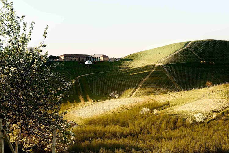 Ceretto esalta La vita selvatica Un progetto che d&agrave; voce alla natura