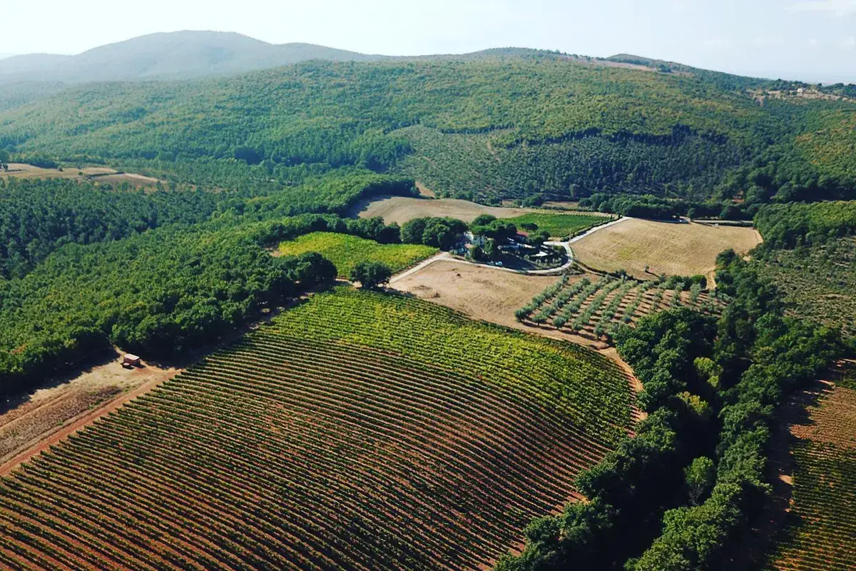 Tenuta Montauto Tenuta di Montauto, una famiglia a servizio del territorio