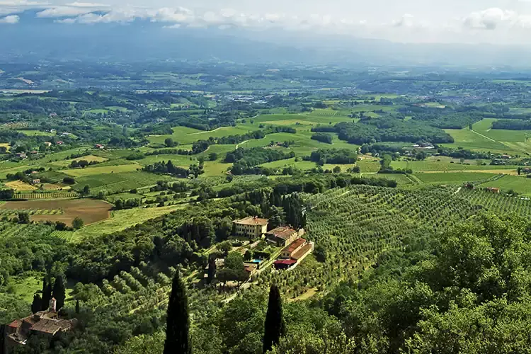 Tenuta Petrolo&nbsp; Petrolo, vocazione territorio Val d&rsquo;Arno di alta caratura