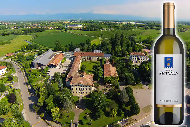 Tenuta Setten, vini di qualit&agrave; nel rispetto dell&rsquo;ambiente