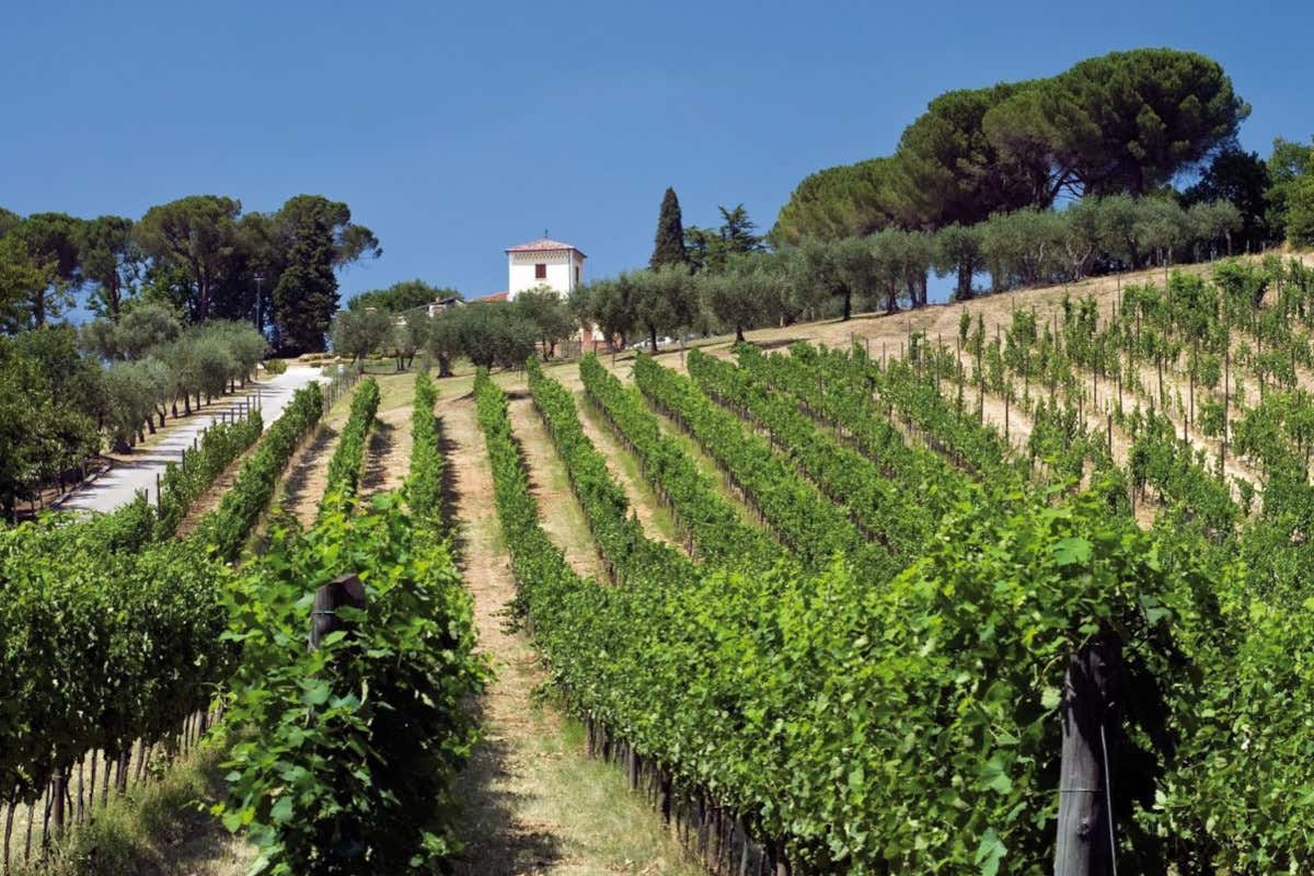 Le più belle cantine al mondo: sette le italiane. Ceretto al 29° posto
