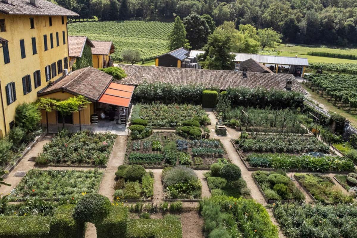 Le più belle cantine al mondo: sette le italiane. Ceretto al 29° posto