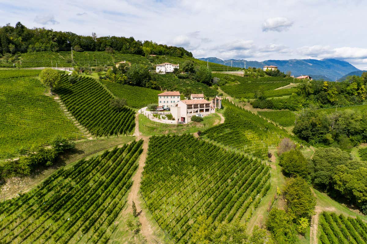 Per i Prosecco Superiore Docg Millesimati di Santa Margherita arriva la certificazione biologica