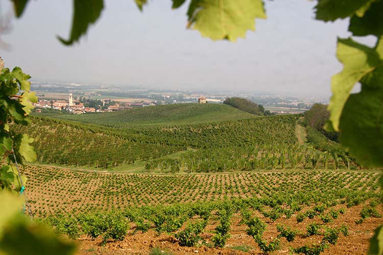 Tenute Montelio ha alle spalle 175 anni di attività - Oltrepò, Montelio guarda indietro Rivisita il suo vecchio Champagne