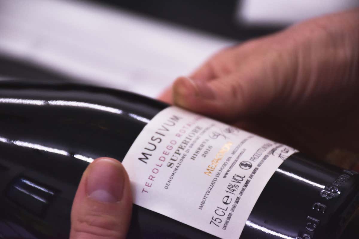 Teroldego rotaliano Doc Superiore Riserva 2016, l'eccellenza assoluta di Mezzacorona