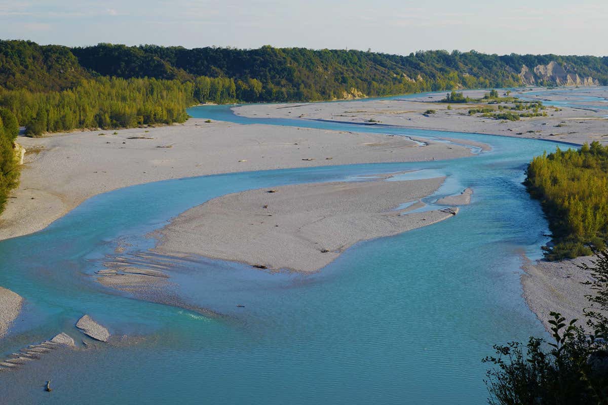 Fiume Tagliamento Terre di Plovia, progetto friulano per la valorizzazione dei vitigni autoctoni
