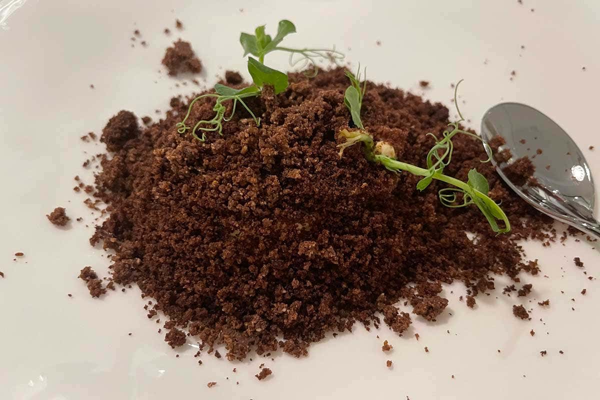 Terre di... (mousse di cioccolato e ceci) Scoprire l’alta cucina attraverso la verdura grazie a Peter Brunel