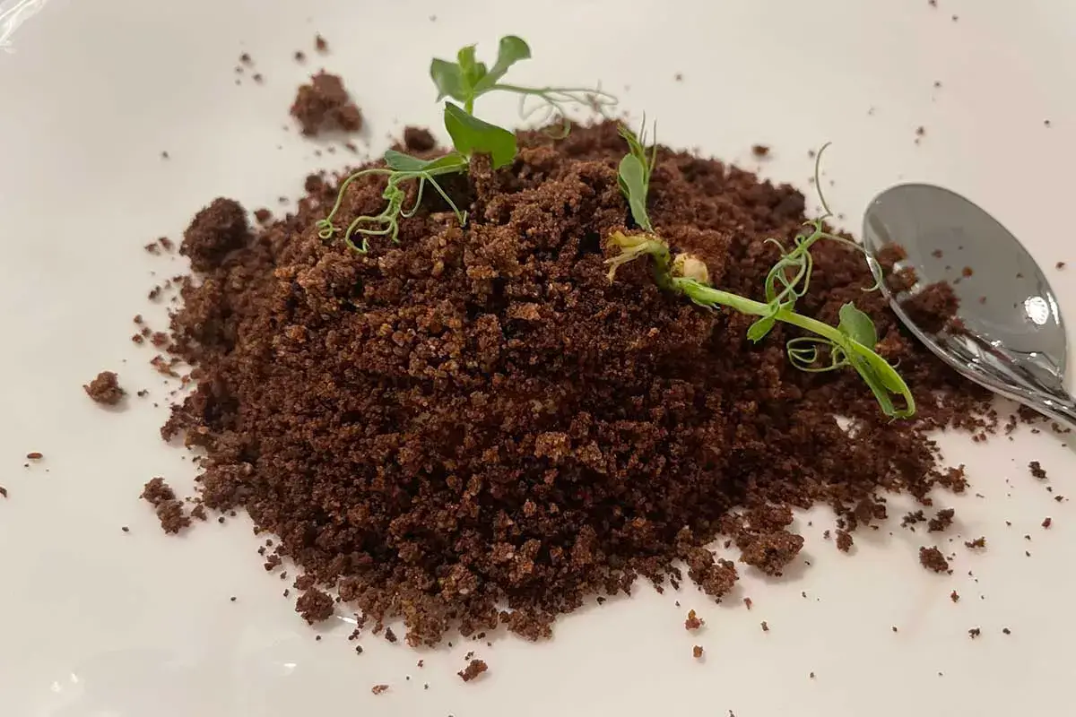 Terre di... (mousse di cioccolato e ceci) Scoprire l’alta cucina attraverso la verdura grazie a Peter Brunel