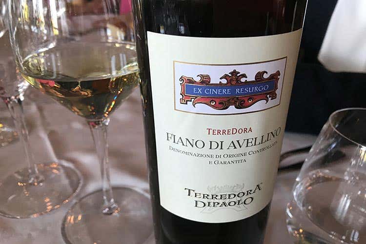 Terredora, la forza della storiaCampore, un Fiano elegante e longevo