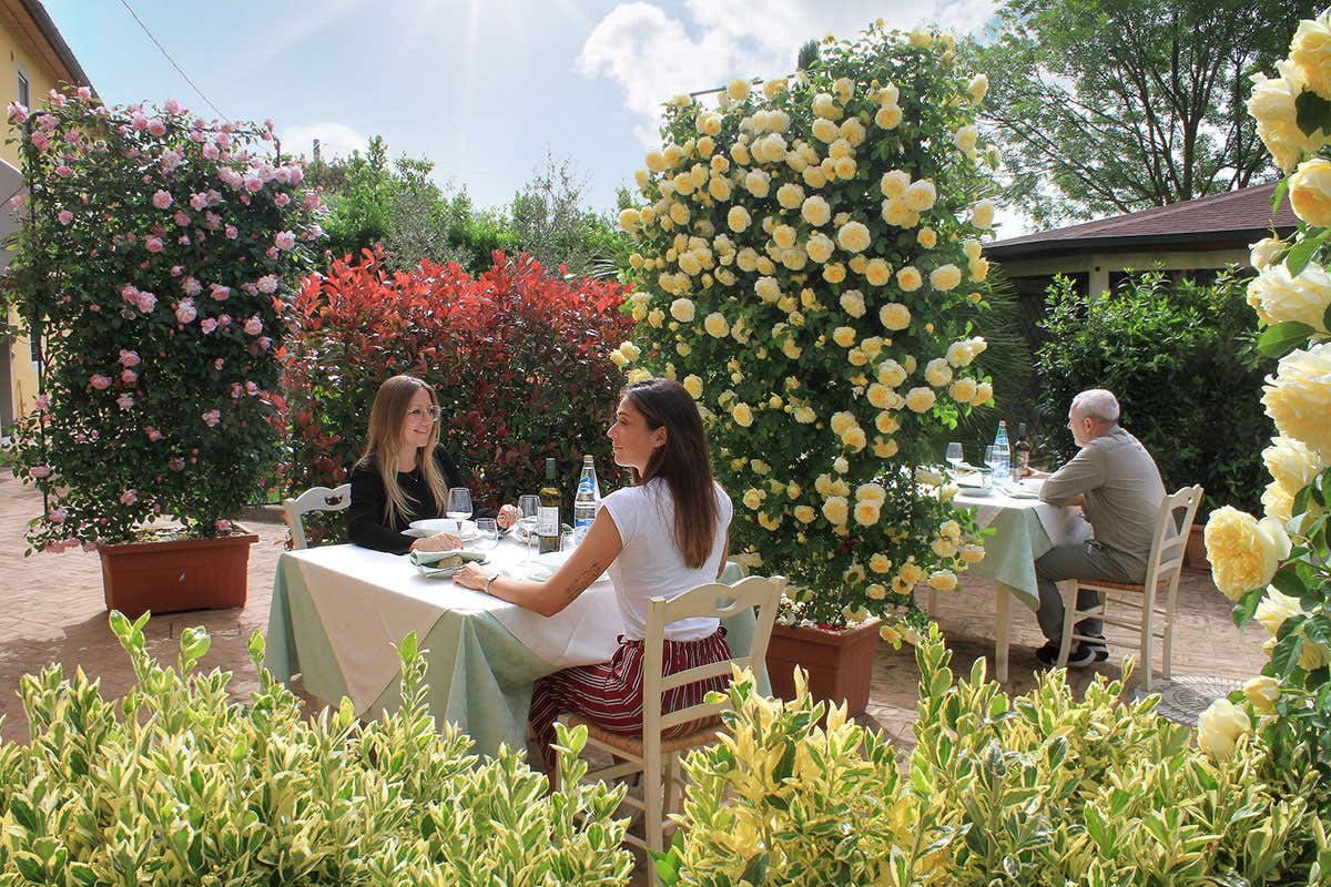 Tende, ventilatori e arredi green I locali si preparano all&rsquo;estate