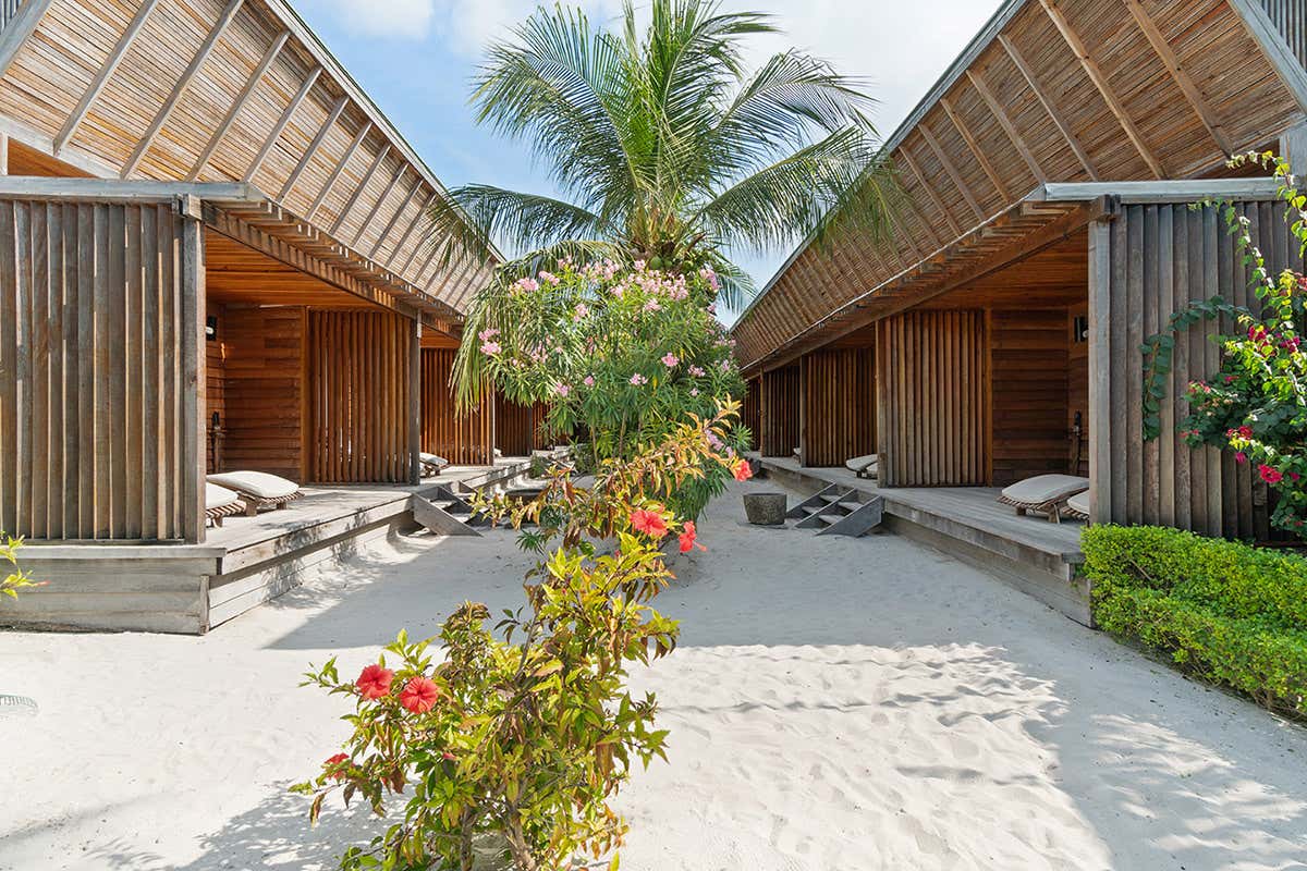 Maldive - The Barefoot Eco Hotel 