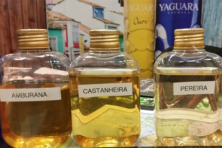 The Rum Day, il distillato a Milano in una due giorni tra assaggi e curiosità The Rum Day, il distillato a Milano in una due giorni tra assaggi e curiosità