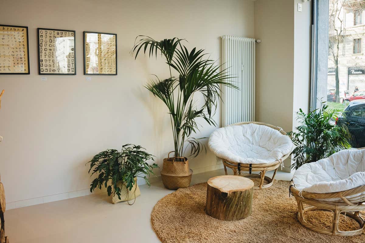 A Milano mette le radici The Seed: caffè, coworking e benessere tra la quiete A Milano mette le radici The Seed: caffè, coworking e benessere tra la quiete