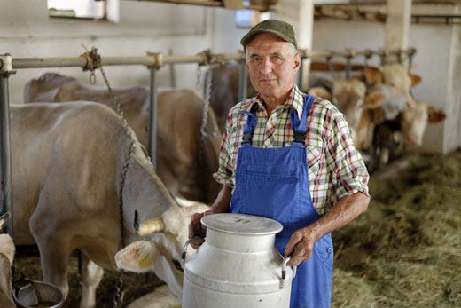 Quote latte, dopo un mese dallo stop 
gli allevatori rischiano nuove multe