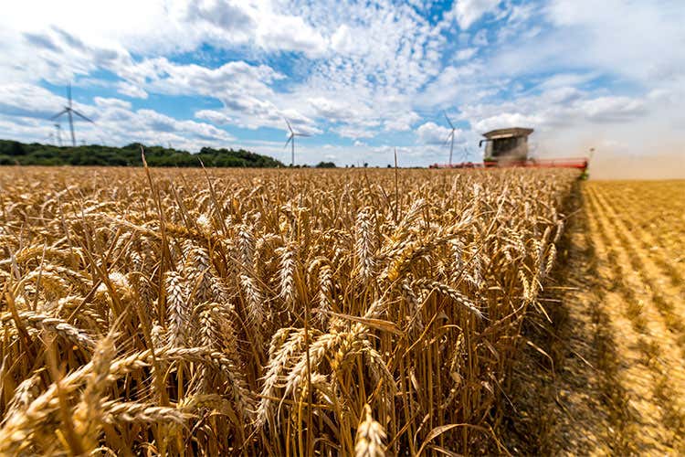 Sisma, a rischio 50mila ettari coltivabili e la sopravvivenza di prodotti Dop e Igp
