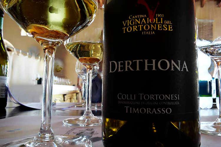 Degustazione di Timorasso - Avvolgente, equilibrato, presente Riscoprendo il Timorasso Degustazione di Timorasso - Avvolgente, equilibrato, presente Riscoprendo il Timorasso